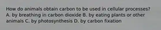 How do animals obtain carbon to be used in cellular processes? A. by breathing in carbon dioxide B. by eating plants or other animals C. by photosynthesis D. by carbon fixation