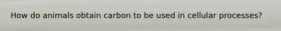 How do animals obtain carbon to be used in cellular processes?