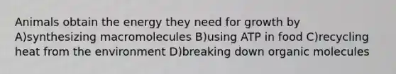 Animals obtain the energy they need for growth by A)synthesizing macromolecules B)using ATP in food C)recycling heat from the environment D)breaking down organic molecules