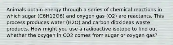 Animals obtain energy through a series of chemical reactions in which sugar (C6H12O6) and oxygen gas (O2) are reactants. This process produces water (H2O) and carbon dioxideas waste products. How might you use a radioactive isotope to find out whether the oxygen in CO2 comes from sugar or oxygen gas?