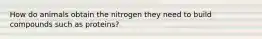 How do animals obtain the nitrogen they need to build compounds such as proteins?