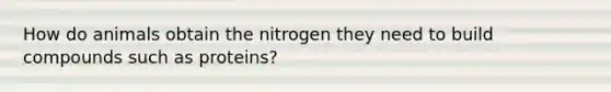 How do animals obtain the nitrogen they need to build compounds such as proteins?