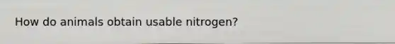 How do animals obtain usable nitrogen?