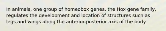 In animals, one group of homeobox genes, the Hox gene family, regulates the development and location of structures such as legs and wings along the anterior-posterior axis of the body.