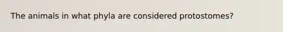 The animals in what phyla are considered protostomes?