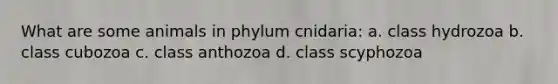 What are some animals in phylum cnidaria: a. class hydrozoa b. class cubozoa c. class anthozoa d. class scyphozoa