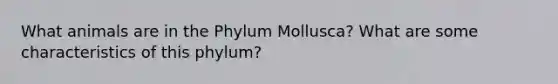 What animals are in the Phylum Mollusca? What are some characteristics of this phylum?