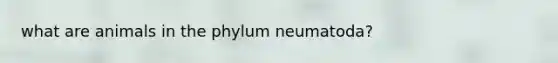 what are animals in the phylum neumatoda?