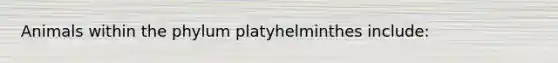 Animals within the phylum platyhelminthes include: