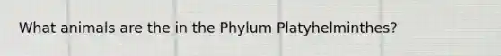 What animals are the in the Phylum Platyhelminthes?