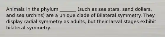 Animals in the phylum _______ (such as sea stars, sand dollars, and sea urchins) are a unique clade of Bilateral symmetry. They display radial symmetry as adults, but their larval stages exhibit bilateral symmetry.