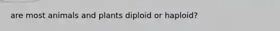 are most animals and plants diploid or haploid?