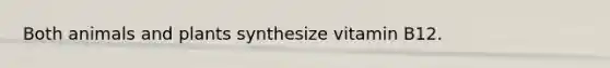 Both animals and plants synthesize vitamin B12.