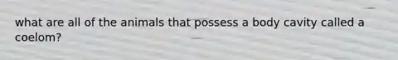 what are all of the animals that possess a body cavity called a coelom?