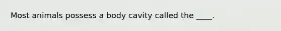 Most animals possess a body cavity called the ____.