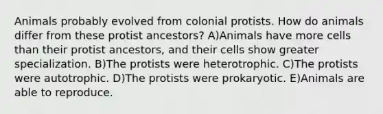 Animals probably evolved from colonial protists. How do animals differ from these protist ancestors? A)Animals have more cells than their protist ancestors, and their cells show greater specialization. B)The protists were heterotrophic. C)The protists were autotrophic. D)The protists were prokaryotic. E)Animals are able to reproduce.