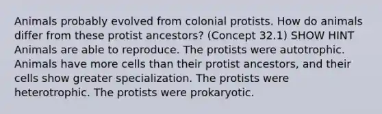 Animals probably evolved from colonial protists. How do animals differ from these protist ancestors? (Concept 32.1) SHOW HINT Animals are able to reproduce. The protists were autotrophic. Animals have more cells than their protist ancestors, and their cells show greater specialization. The protists were heterotrophic. The protists were prokaryotic.