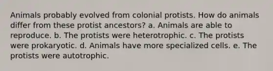 Animals probably evolved from colonial protists. How do animals differ from these protist ancestors? a. Animals are able to reproduce. b. The protists were heterotrophic. c. The protists were prokaryotic. d. Animals have more specialized cells. e. The protists were autotrophic.