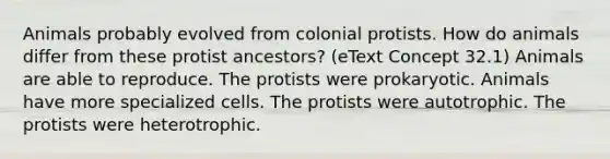 Animals probably evolved from colonial protists. How do animals differ from these protist ancestors? (eText Concept 32.1) Animals are able to reproduce. The protists were prokaryotic. Animals have more specialized cells. The protists were autotrophic. The protists were heterotrophic.