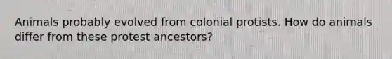 Animals probably evolved from colonial protists. How do animals differ from these protest ancestors?