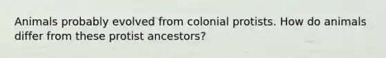 Animals probably evolved from colonial protists. How do animals differ from these protist ancestors?