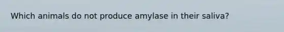 Which animals do not produce amylase in their saliva?