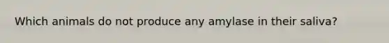 Which animals do not produce any amylase in their saliva?