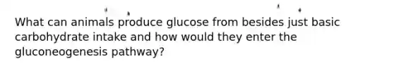 What can animals produce glucose from besides just basic carbohydrate intake and how would they enter the gluconeogenesis pathway?