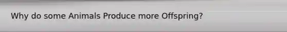 Why do some Animals Produce more Offspring?