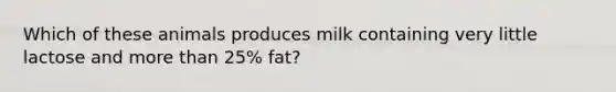 Which of these animals produces milk containing very little lactose and more than 25% fat?