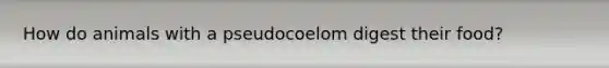 How do animals with a pseudocoelom digest their food?