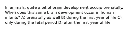 In animals, quite a bit of brain development occurs prenatally. When does this same brain development occur in human infants? A) prenatally as well B) during the first year of life C) only during the fetal period D) after the first year of life