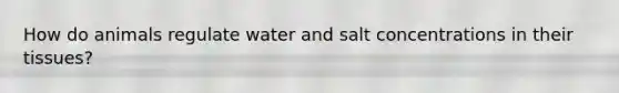 How do animals regulate water and salt concentrations in their tissues?