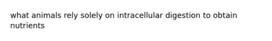 what animals rely solely on intracellular digestion to obtain nutrients