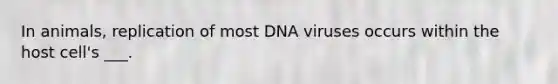 In animals, replication of most DNA viruses occurs within the host cell's ___.