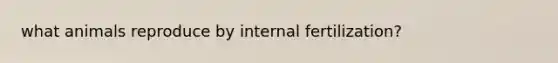 what animals reproduce by internal fertilization?