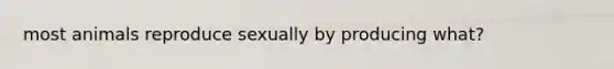 most animals reproduce sexually by producing what?