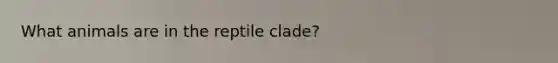 What animals are in the reptile clade?