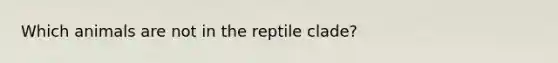 Which animals are not in the reptile clade?