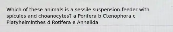 Which of these animals is a sessile suspension-feeder with spicules and choanocytes? a Porifera b Ctenophora c Platyhelminthes d Rotifera e Annelida