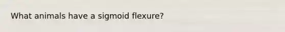 What animals have a sigmoid flexure?