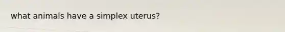 what animals have a simplex uterus?