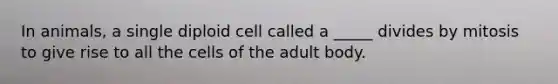 In animals, a single diploid cell called a _____ divides by mitosis to give rise to all the cells of the adult body.