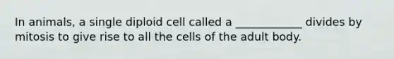 In animals, a single diploid cell called a ____________ divides by mitosis to give rise to all the cells of the adult body.