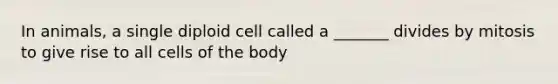 In animals, a single diploid cell called a _______ divides by mitosis to give rise to all cells of the body