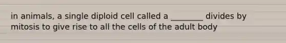 in animals, a single diploid cell called a ________ divides by mitosis to give rise to all the cells of the adult body