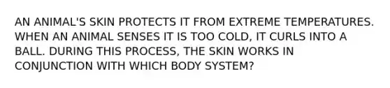 AN ANIMAL'S SKIN PROTECTS IT FROM EXTREME TEMPERATURES. WHEN AN ANIMAL SENSES IT IS TOO COLD, IT CURLS INTO A BALL. DURING THIS PROCESS, THE SKIN WORKS IN CONJUNCTION WITH WHICH BODY SYSTEM?