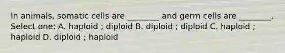 In animals, somatic cells are ________ and germ cells are ________. Select one: A. haploid ; diploid B. diploid ; diploid C. haploid ; haploid D. diploid ; haploid