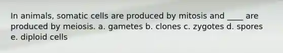 In animals, somatic cells are produced by mitosis and ____ are produced by meiosis. a. gametes b. clones c. zygotes d. spores e. diploid cells