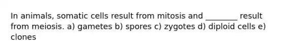 In animals, somatic cells result from mitosis and ________ result from meiosis. a) gametes b) spores c) zygotes d) diploid cells e) clones